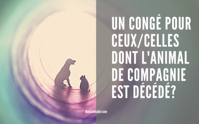 Un congé pour le deuil d’un animal de compagnie décédé?