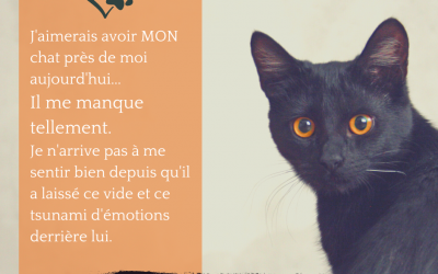 Il me manque tellement