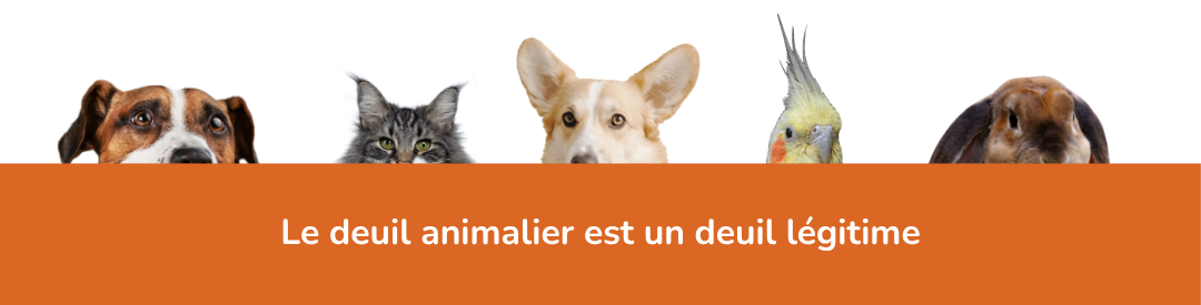 Le deuil animalier, un deuil légitime